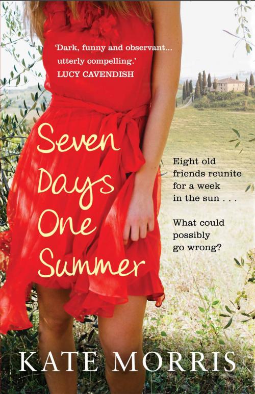 Cover of the book Seven Days One Summer by Kate Morris, Short Books