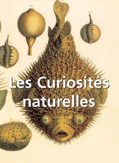 Cover of the book Les Curiosités naturelles by Victoria Charles, Parkstone International