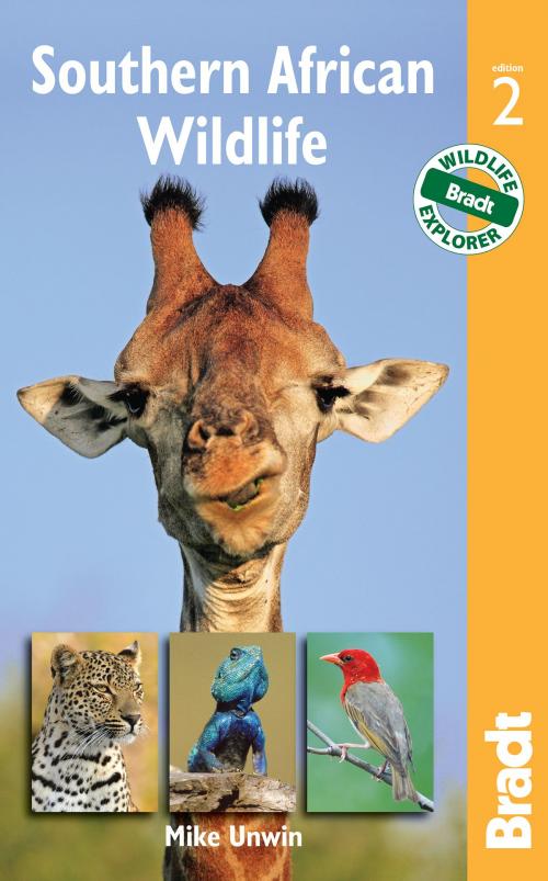 Cover of the book Southern African Wildlife by Mike Unwin, Bradt Travel Guides Ltd