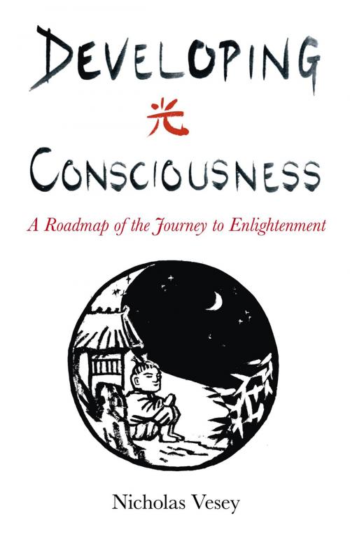 Cover of the book Developing Consciousness by Nicholas Vesey, John Hunt Publishing