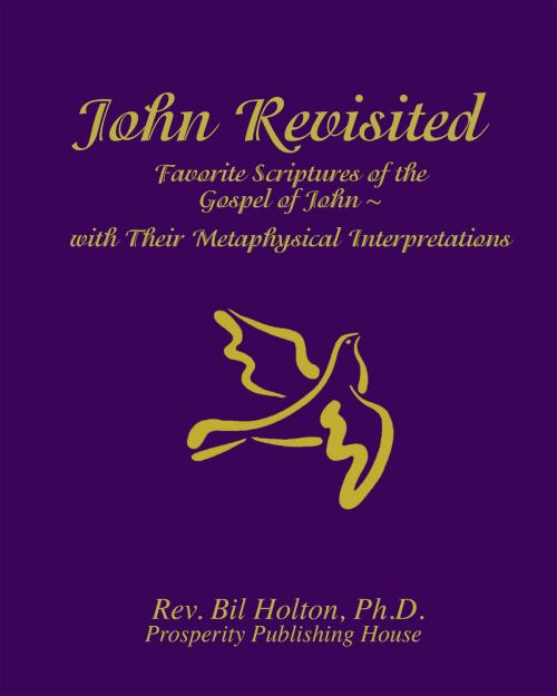 Cover of the book John Revisited: Favorite Scriptures of the Gospel of John With Their Metaphysical Interpretations by Bil Holton, Liberty Publishing Group