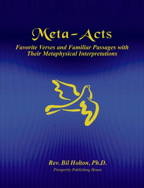 Cover of the book Meta-Acts: Favorite Verses and Familiar Passages with Their Metaphysical Interpretations by Bil Holton, Liberty Publishing Group