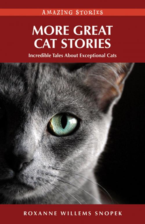 Cover of the book More Great Cat Stories: Incredible Tales About Exceptional Cats by Roxanne Willems Snopek, Heritage House