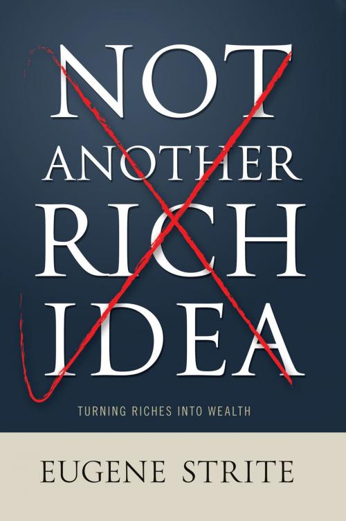 Cover of the book Not Another Rich Idea by Eugene Strite, eGenCo.LLC