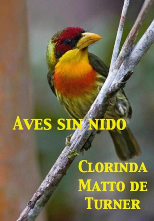 Cover of the book Aves sin nido by Clorinda Matto de Turner, Açedrex Publishing