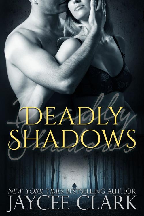 Cover of the book Deadly Shadows by Jaycee Clark, Beyond the Page Publishing