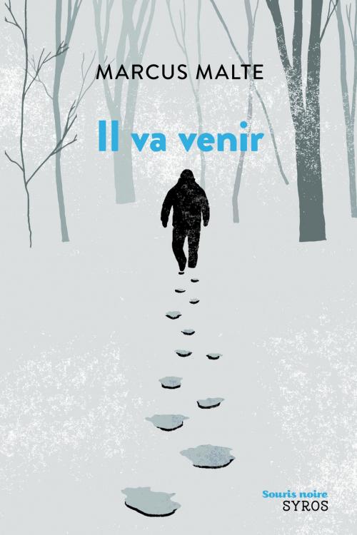 Cover of the book Il va venir by Marcus Malte, Nathan
