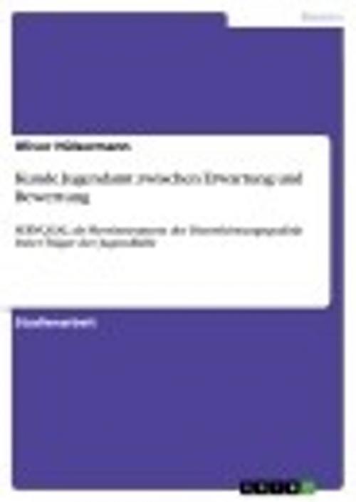 Cover of the book Kunde Jugendamt zwischen Erwartung und Bewertung by Oliver Hülsermann, GRIN Verlag