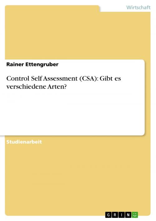 Cover of the book Control Self Assessment (CSA): Gibt es verschiedene Arten? by Rainer Ettengruber, GRIN Verlag