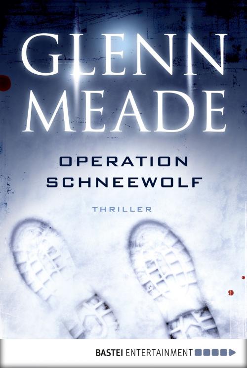 Cover of the book Operation Schneewolf by Glenn Meade, Bastei Entertainment