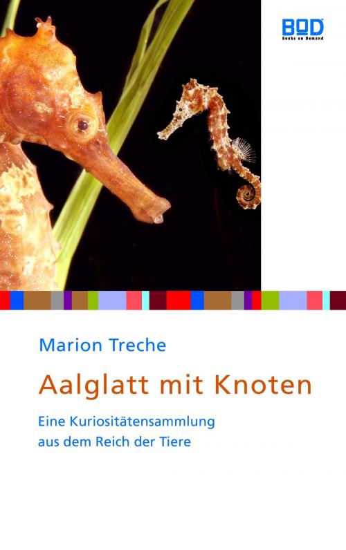 Cover of the book Aalglatt mit Knoten by Marion Treche, Books on Demand