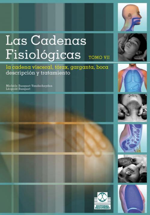 Cover of the book Las cadenas fisiológicas (Tomo VII) by Michèle Busquet-Vanderheyden, Léopold  Busquet, Paidotribo