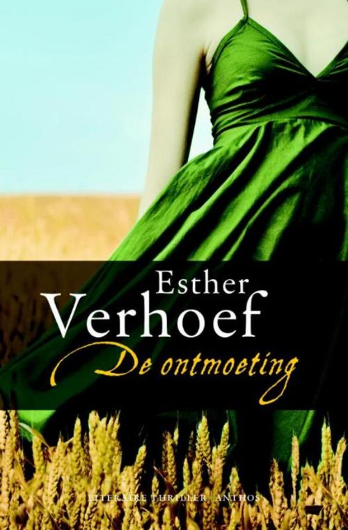 Cover of the book De ontmoeting by Esther Verhoef, Ambo/Anthos B.V.