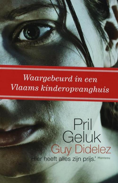 Cover of the book Pril geluk by Guy Didelez, Standaard Uitgeverij - Algemeen