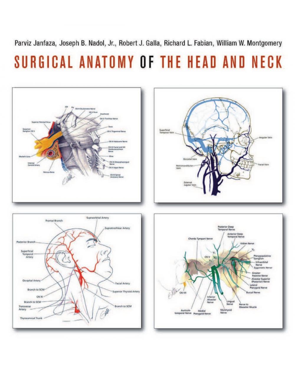 Big bigCover of Surgical Anatomy of the Head and Neck