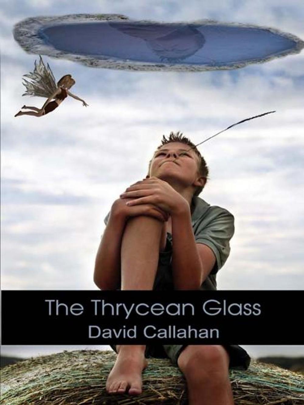 Big bigCover of The Thrycean Glass