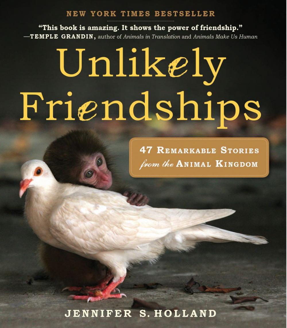 Big bigCover of Unlikely Friendships