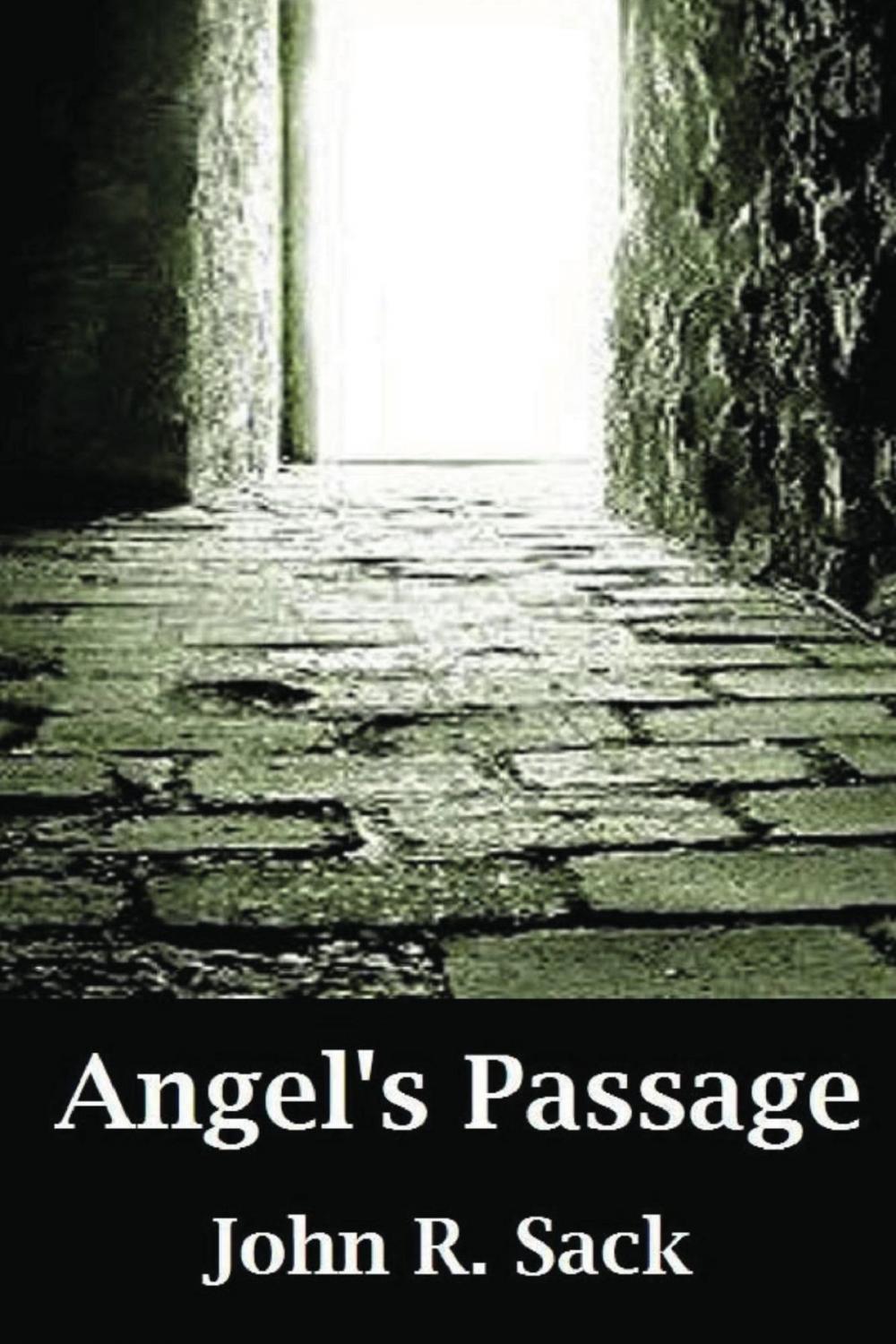 Big bigCover of Angel's Passage
