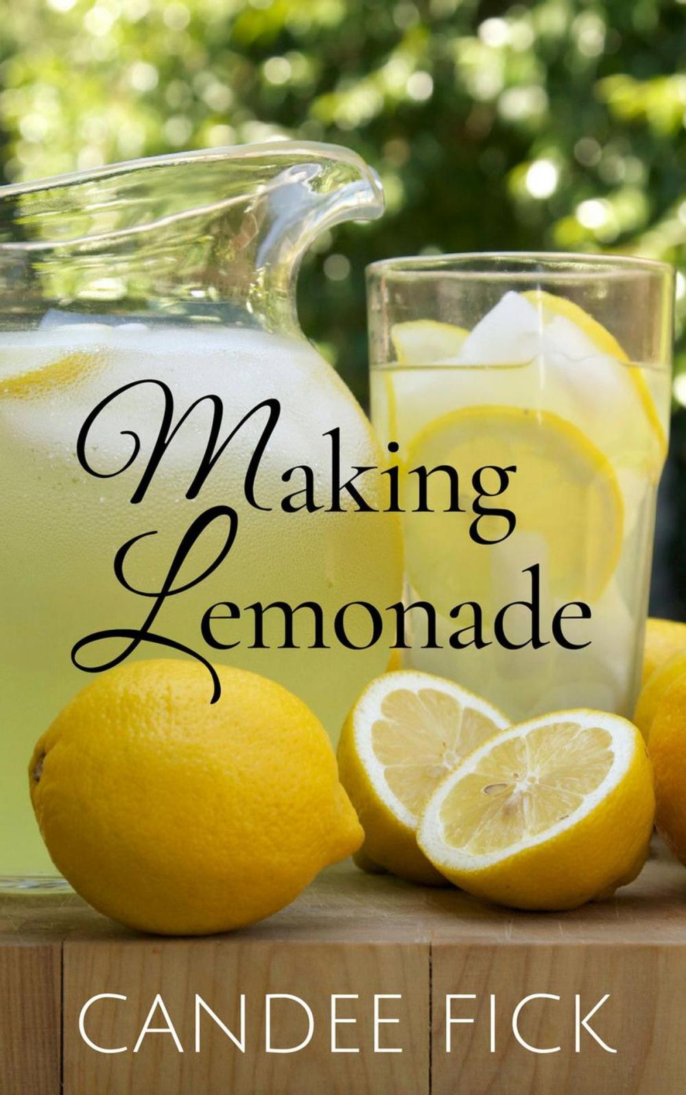 Big bigCover of Making Lemonade: Parents Transforming Special Needs