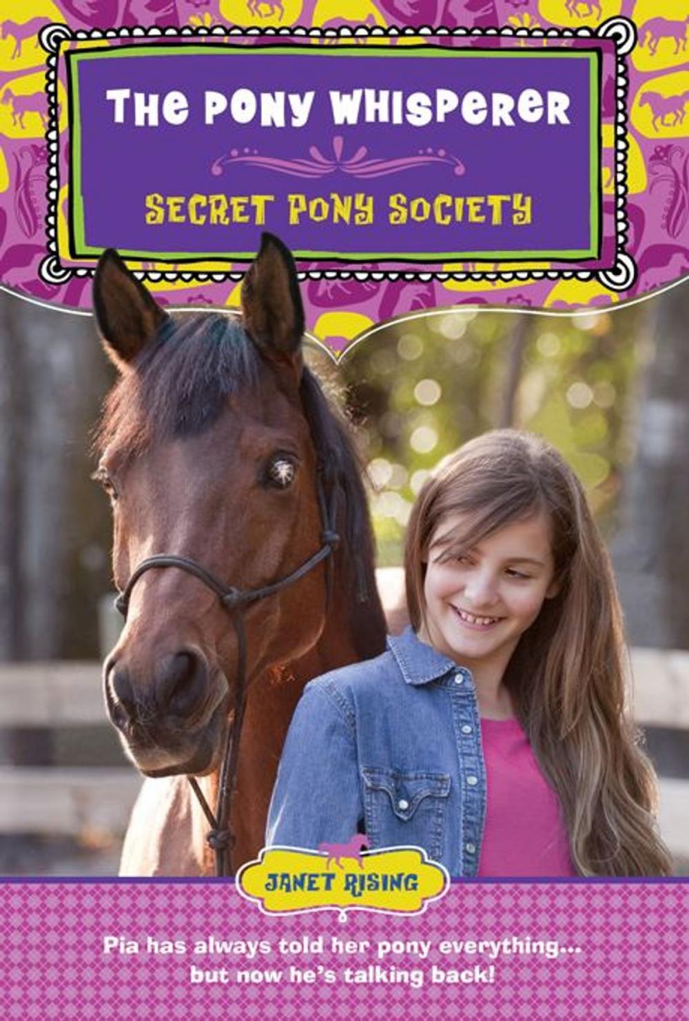 Big bigCover of Secret Pony Society