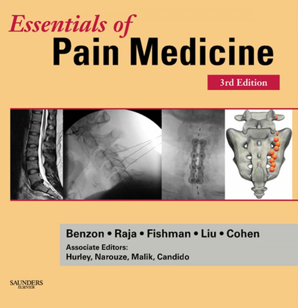 Big bigCover of Essentials of Pain Medicine E-book