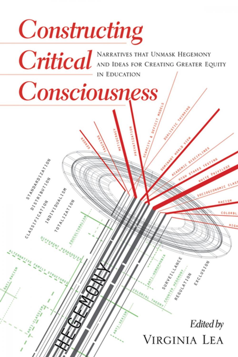 Big bigCover of Constructing Critical Consciousness