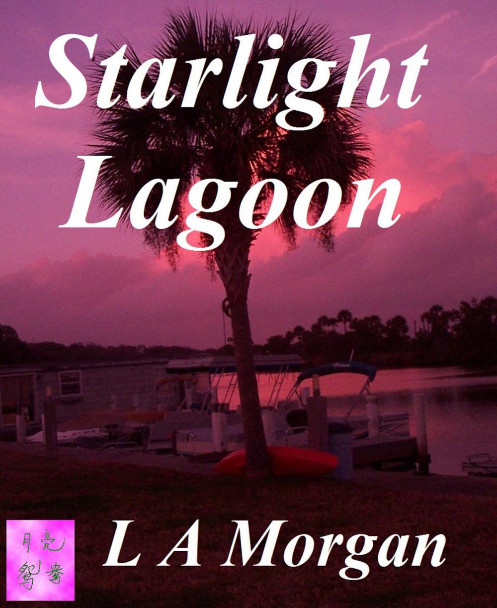 Big bigCover of Starlight Lagoon