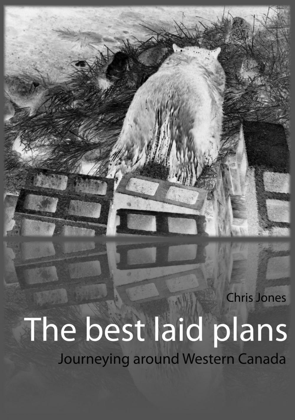 Big bigCover of The best laid plans: journeying around Western Canada