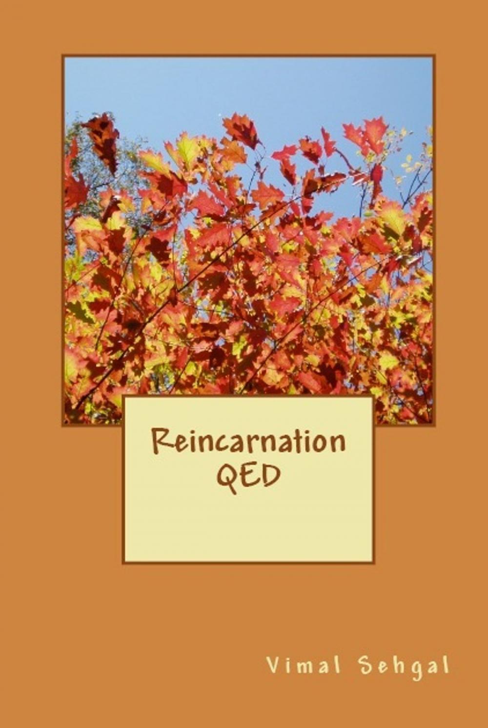 Big bigCover of Reincarnation QED