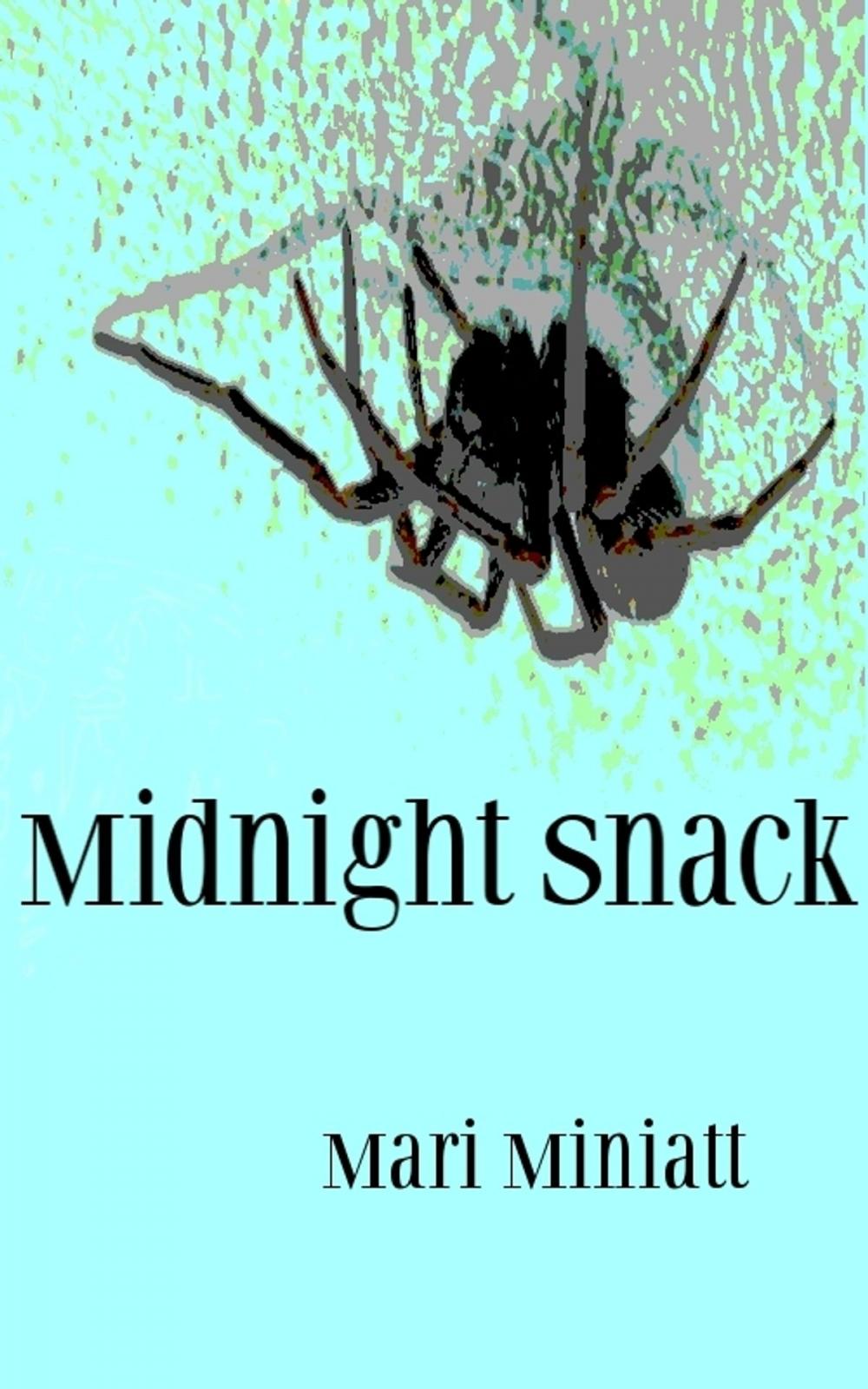 Big bigCover of Midnight Snack