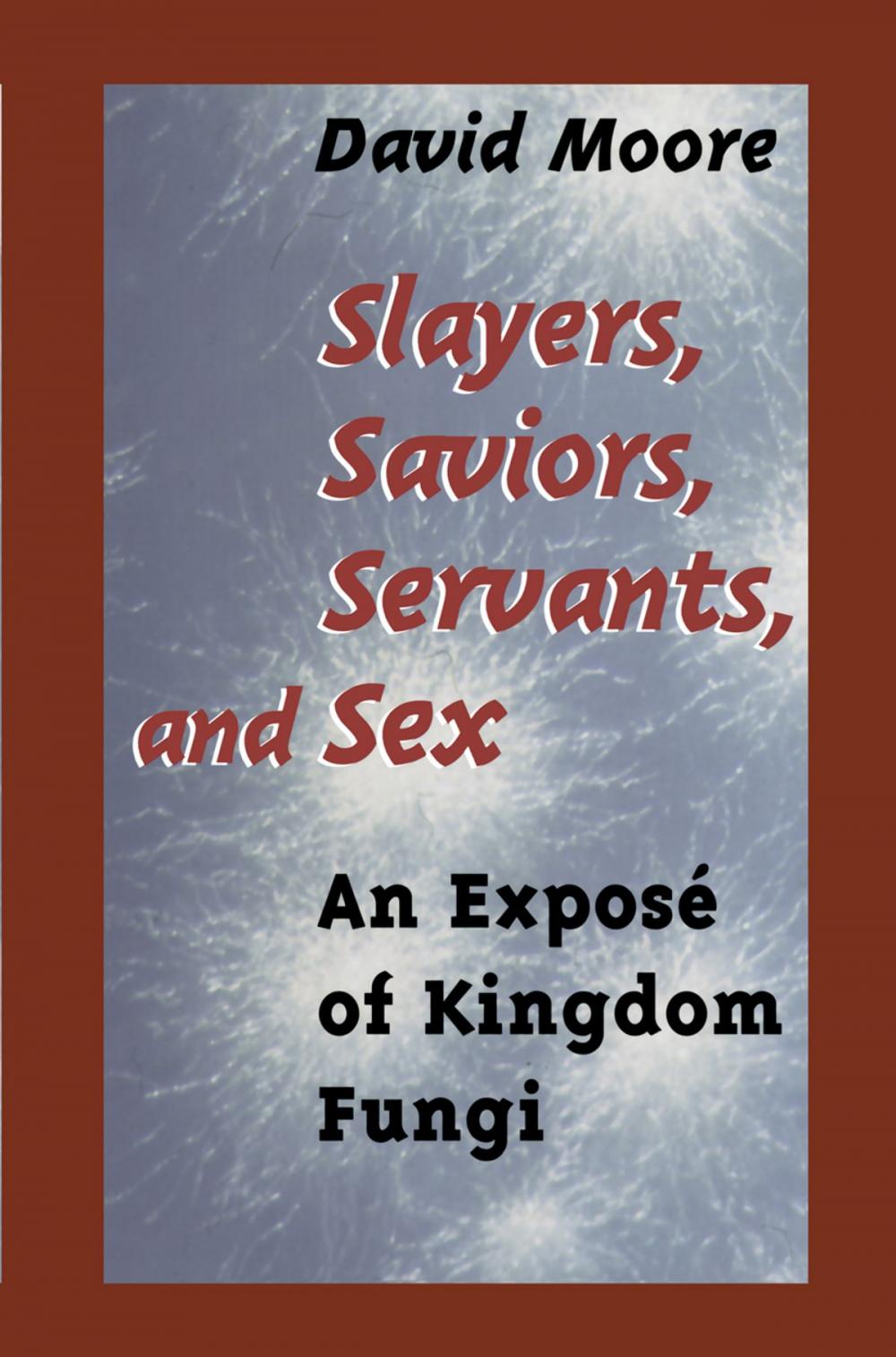 Big bigCover of Slayers, Saviors, Servants and Sex