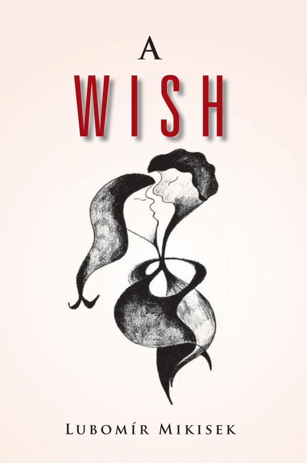 Big bigCover of A Wish