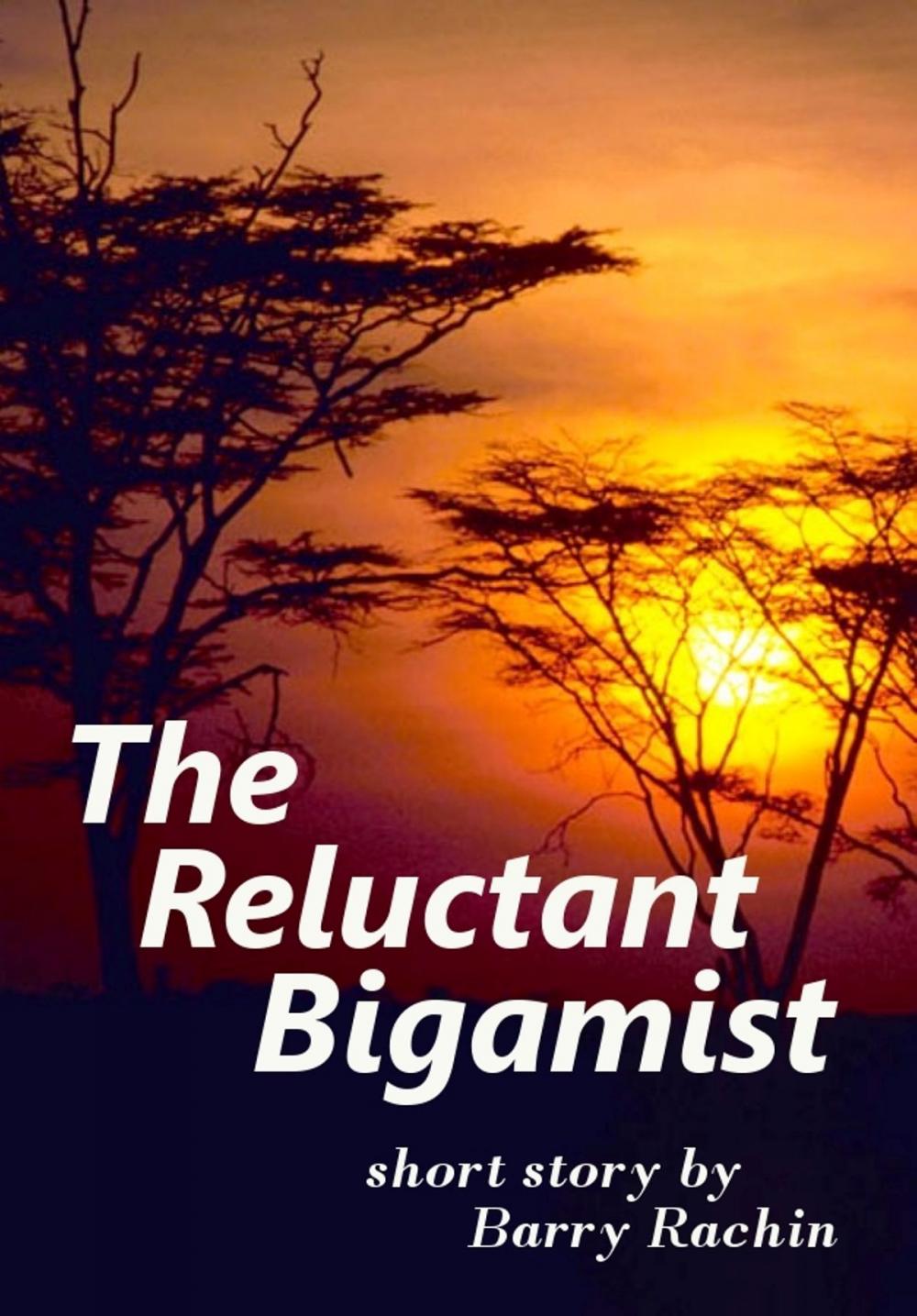 Big bigCover of The Reluctant Bigamist