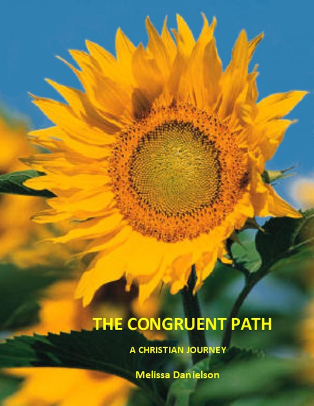 Big bigCover of The Congruent Path