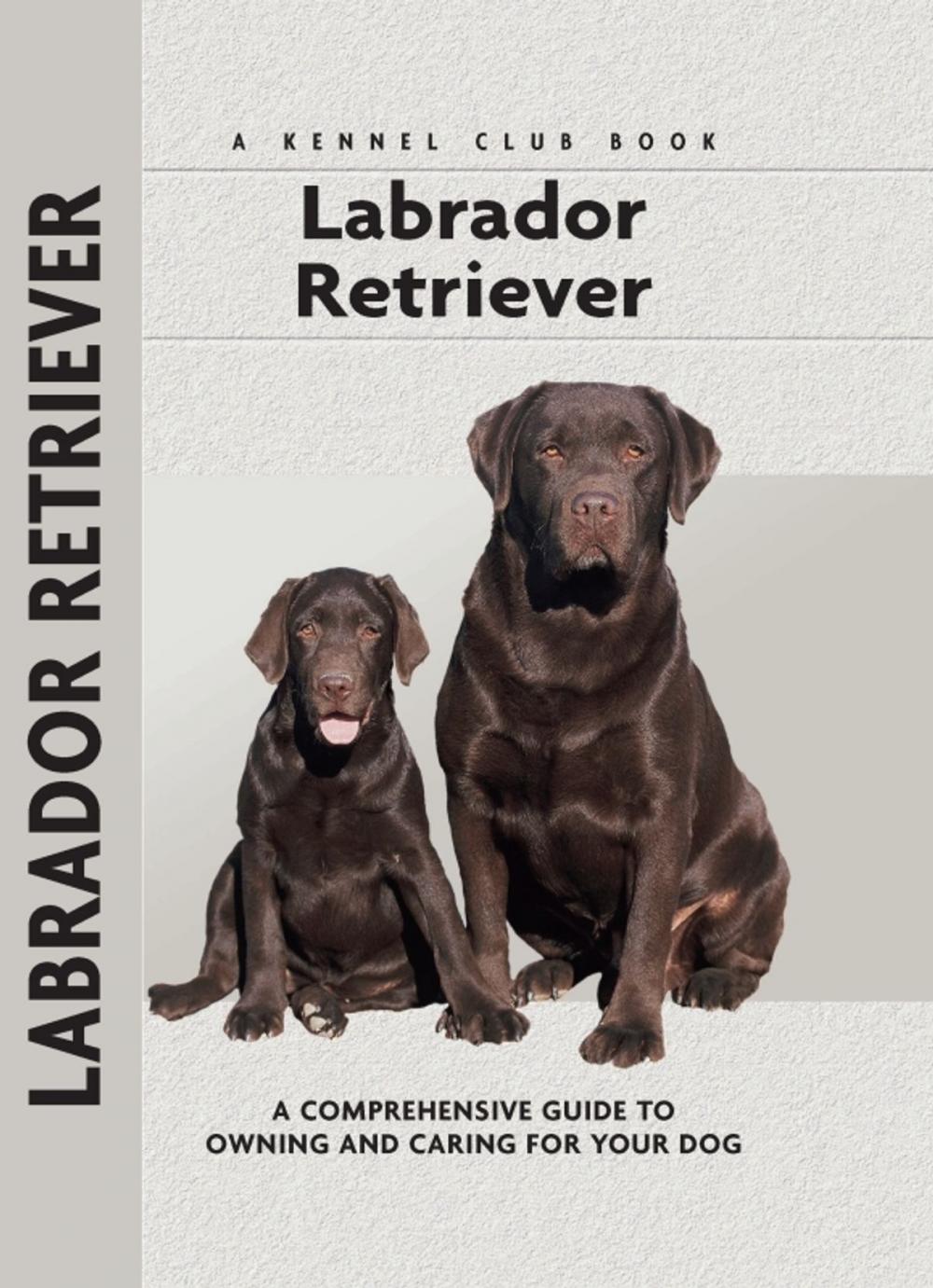 Big bigCover of Labrador Retriever