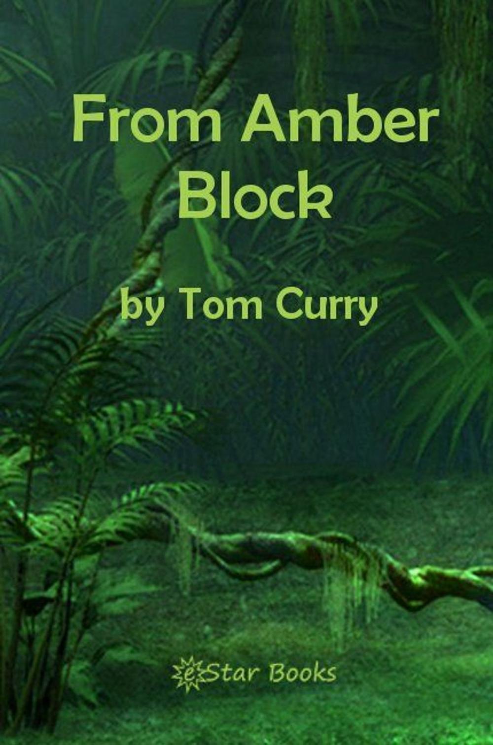 Big bigCover of From Amber Block