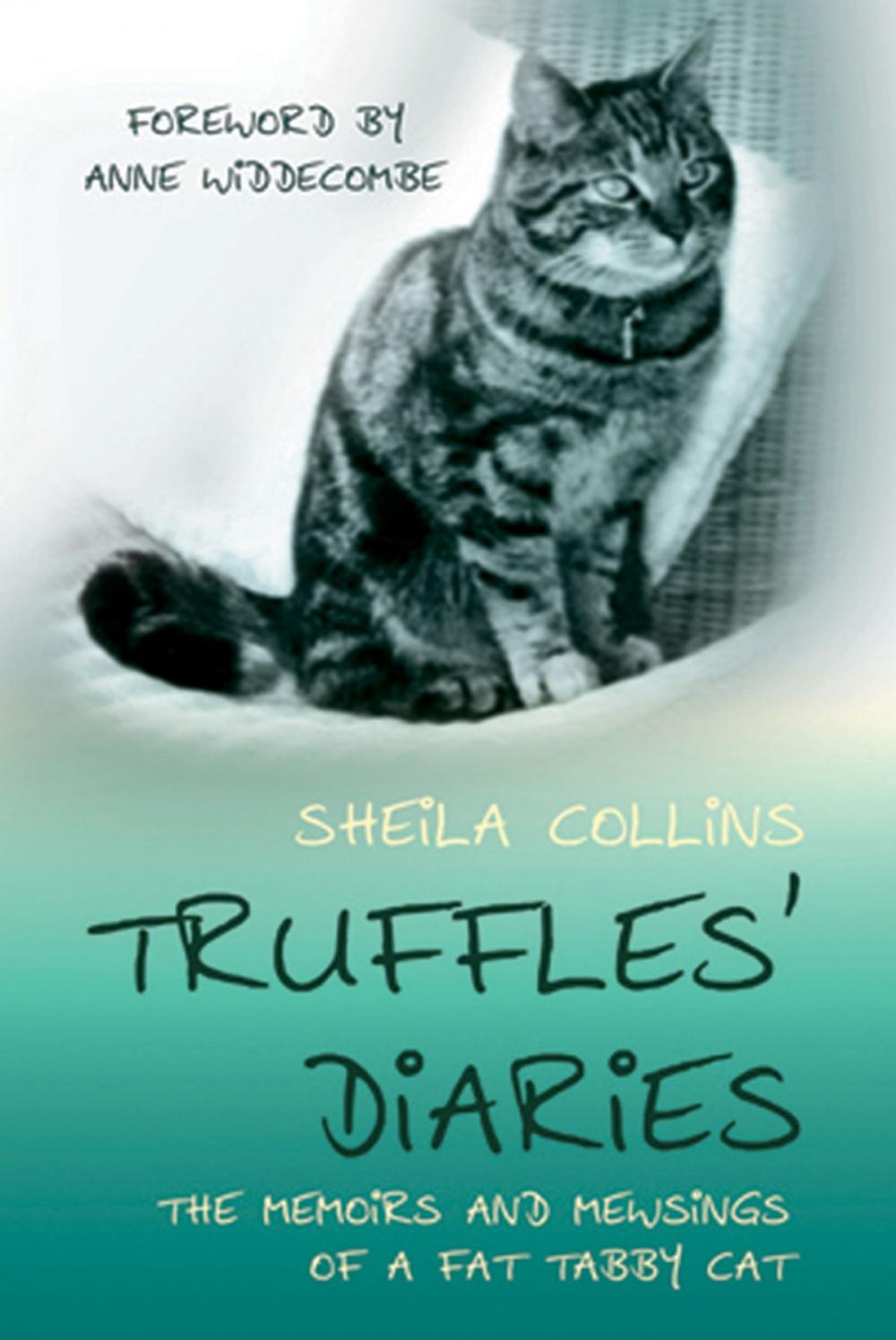 Big bigCover of Truffles' Diaries