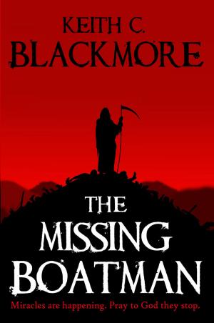 Cover of The Missing Boatman