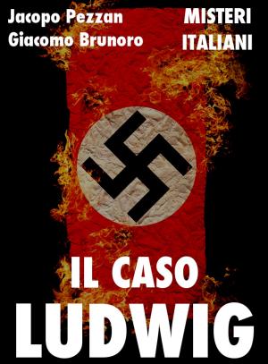 Cover of the book Il caso Ludwig by Jeremy Feldman, Wiki Brigades