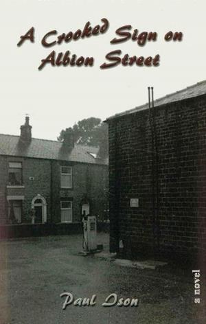 Cover of the book A Crooked Sign on Albion Street by Evelyn Piper