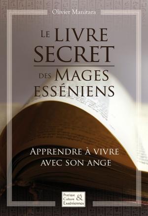 Book cover of Le livre secret des Mages esséniens