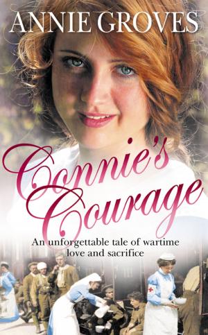 Book cover of Connie’s Courage
