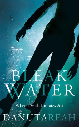 Cover of the book Bleak Water by Peter Chasseaud, The Imperial War Museum