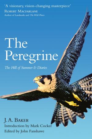 bigCover of the book The Peregrine: The Hill of Summer & Diaries: The Complete Works of J. A. Baker by 