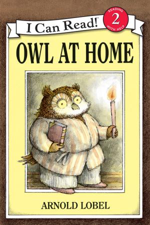 Book cover of Owl at Home