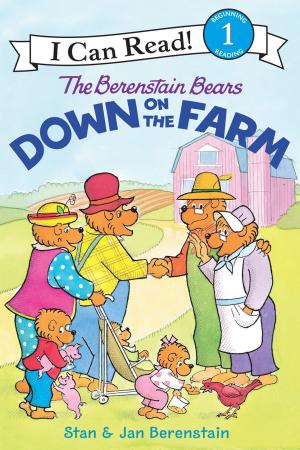 Cover of the book The Berenstain Bears Down on the Farm by Melinda Thompson, Melissa Ferrell, Cecilia Minden, Bill Madrid