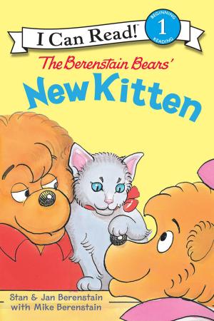 Cover of the book The Berenstain Bears' New Kitten by June Summers