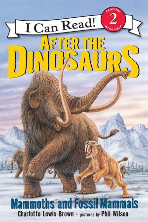 Book cover of After the Dinosaurs