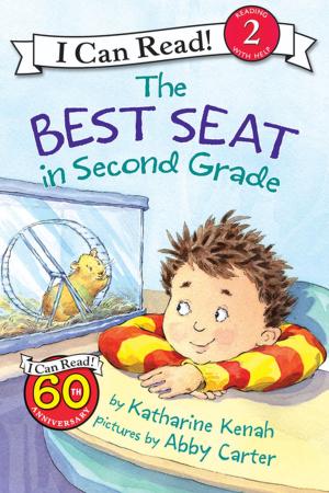 Book cover of The Best Seat in Second Grade