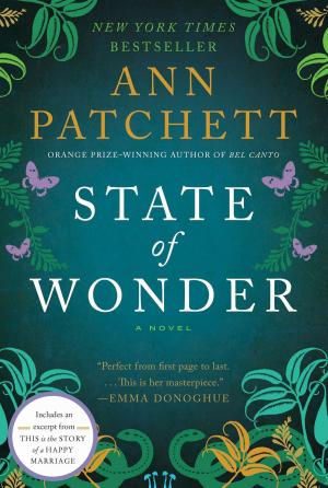 bigCover of the book State of Wonder by 